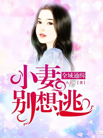 全城通缉,小妻别想逃!