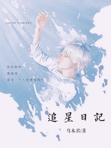 追星日记