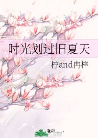 时光划过旧夏天