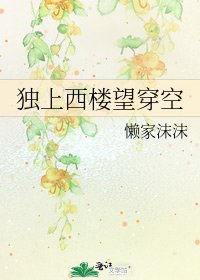 《獨上西樓望穿空》