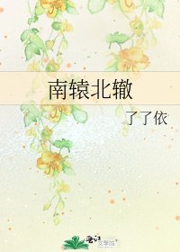 南轅北轍