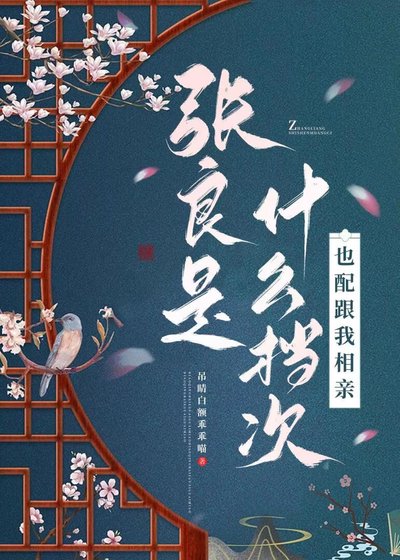 張良是什麼檔次,也胚跟我相琴?