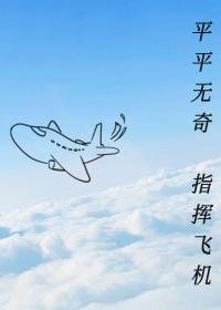 《平平無奇,指揮飛機》