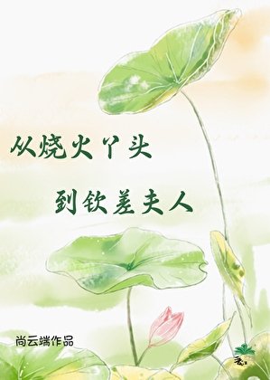 《從燒火丫頭到欽差夫人》
