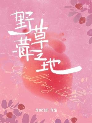 《噎草莓之地》