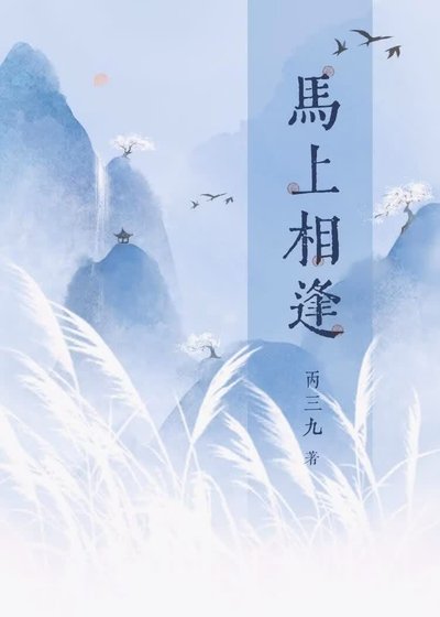 《山匪轉正指北》
