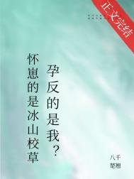 懷崽的是清冷美人,宿敵孕反?