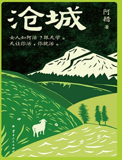 沧城(出版书)