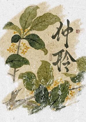 《是龍傲天的惡毒青梅又如何》