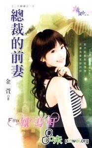 總裁的前妻（二次姻緣之一）